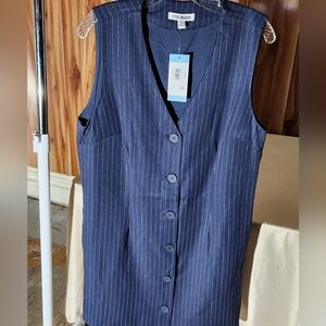Steve Madden Blue Pinstripe Dress